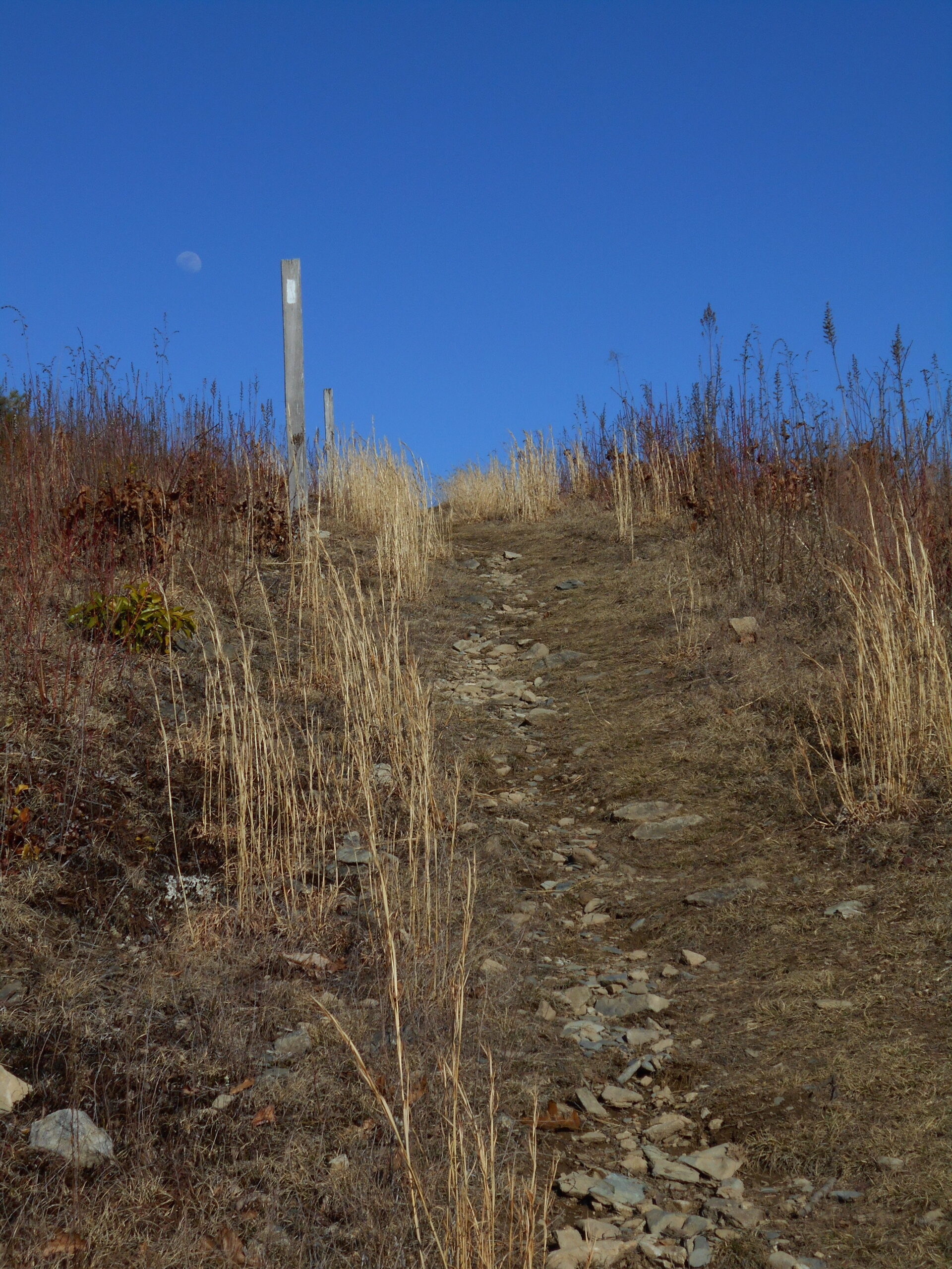 A White Blaze Marks the Appalachian Trail