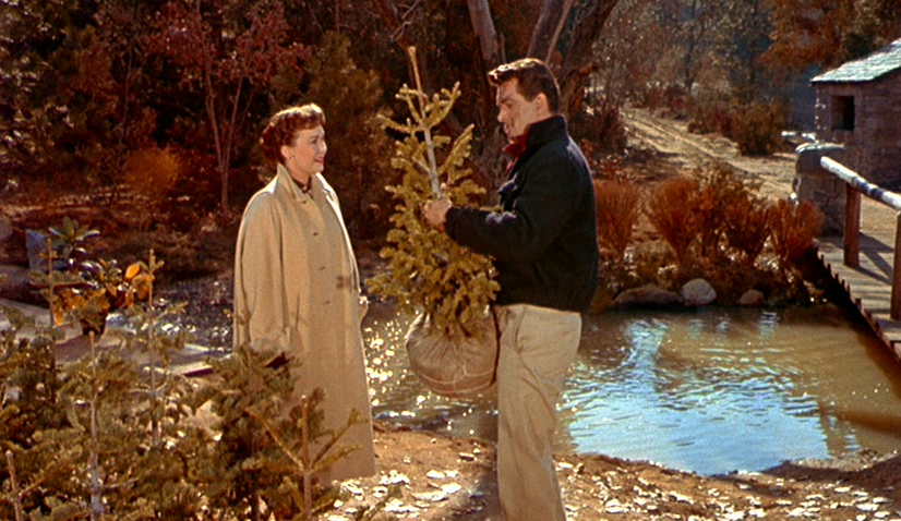 Rock Hudson Holds a Small Tree Provocatively