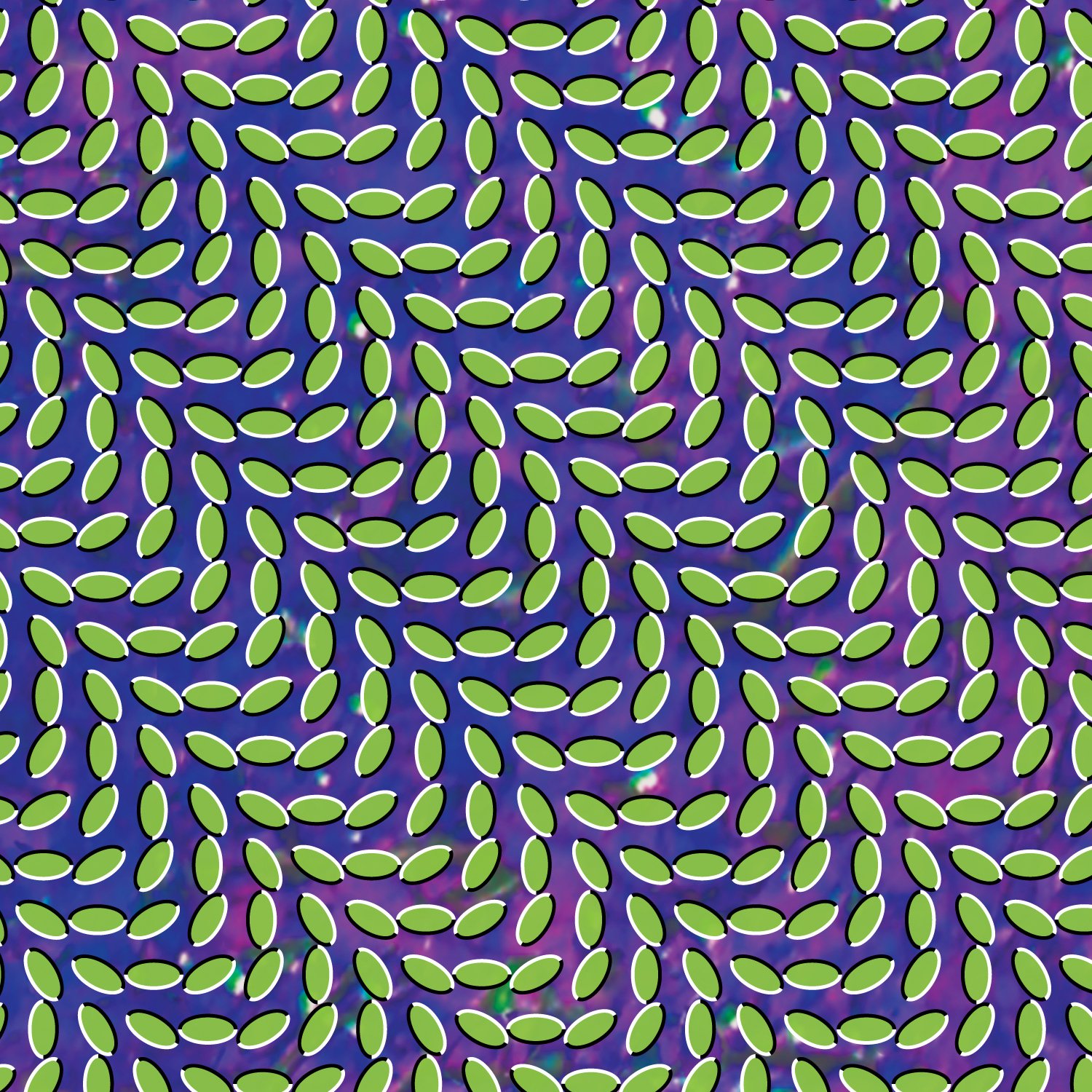 Merriweather Post Pavilion Cover