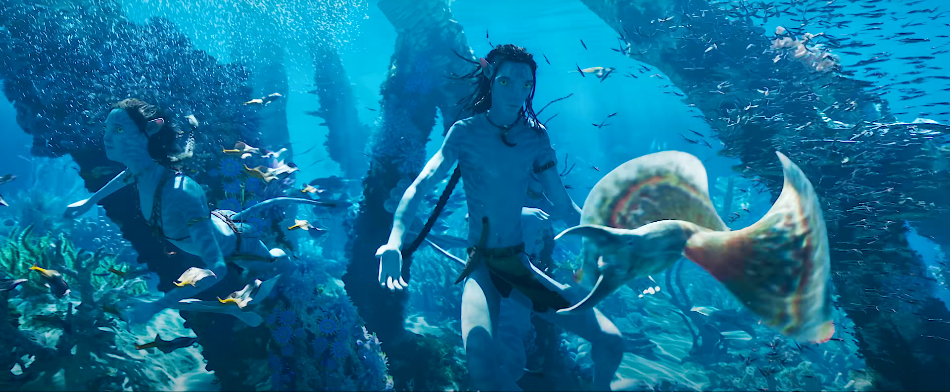 The Sully Children Explore Underwater