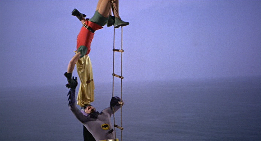 Robin Dangling Upside Down on the Bat-ladder