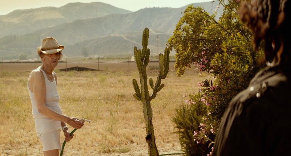 Lucky Watering His Cactus in His Underwear