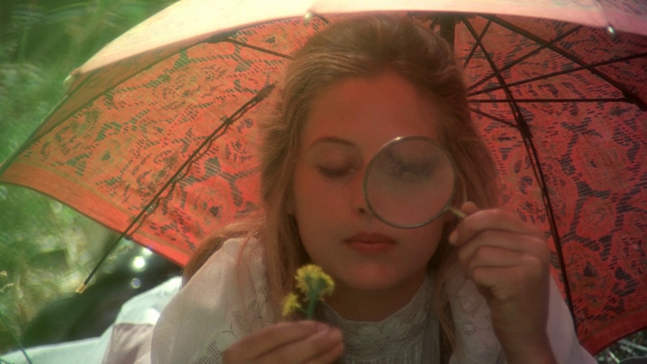 Examining a Flower Through a Magnifying Glass