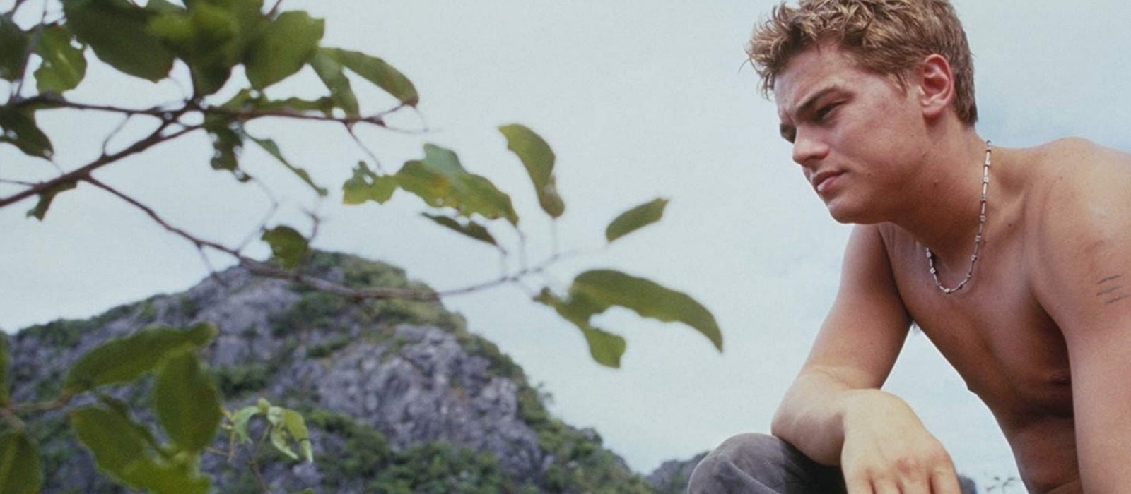 Leonardo DiCaprio as Richard