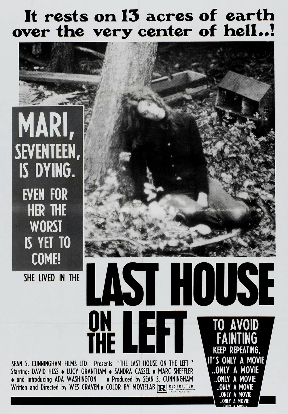 The Last House on the Left Poster