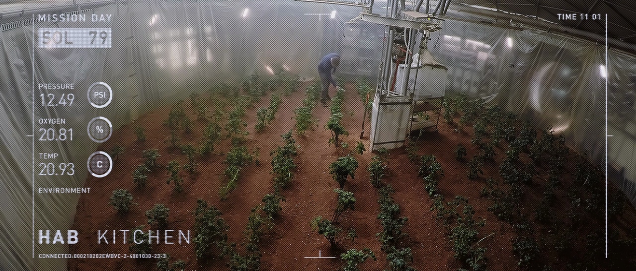 Watney's Potato Garden