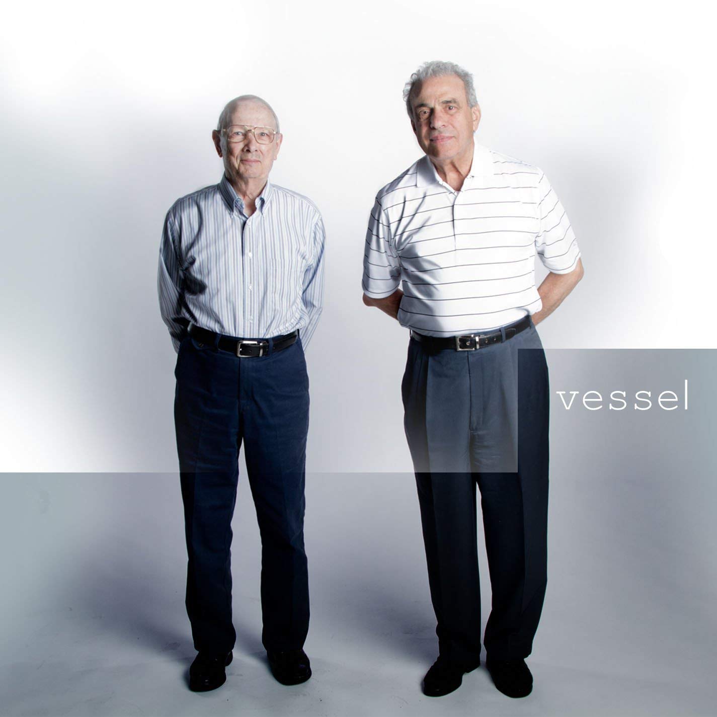 Twenty One Pilots Vessel Album Cover