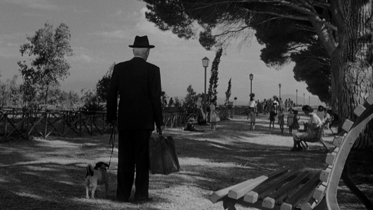 Umberto D. Walks His Dog Flike