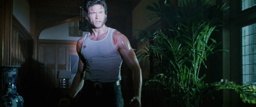 Hugh Jackman as Wolverine